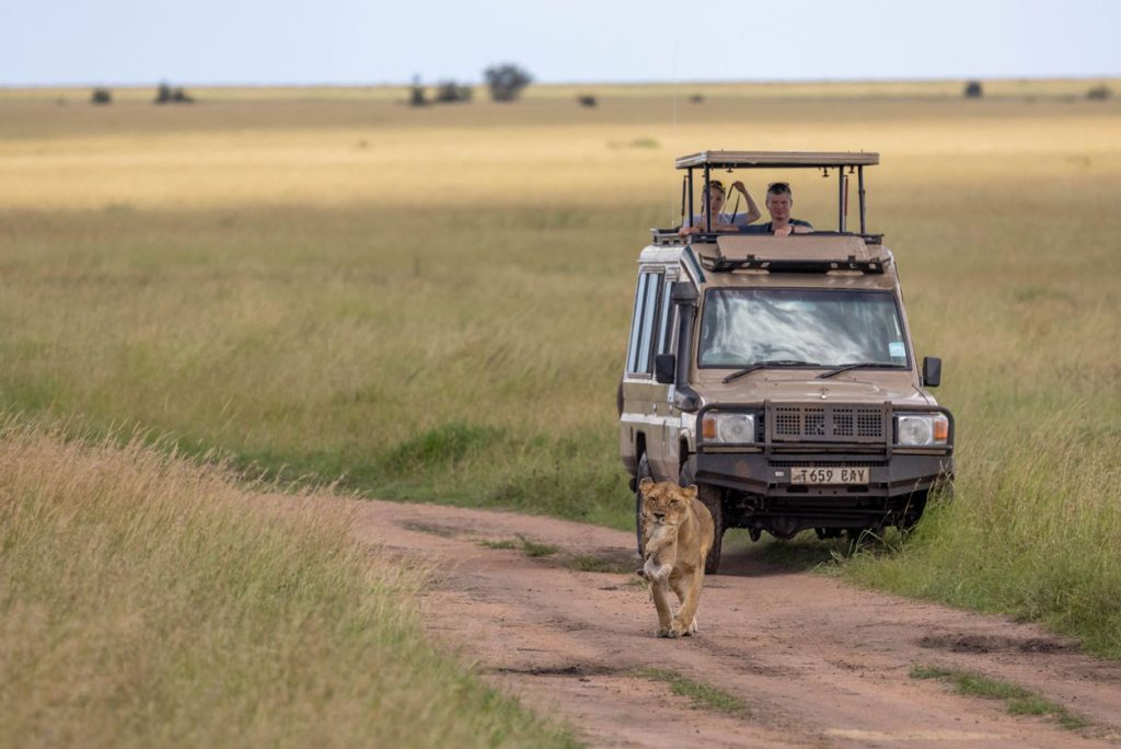 serengeti img