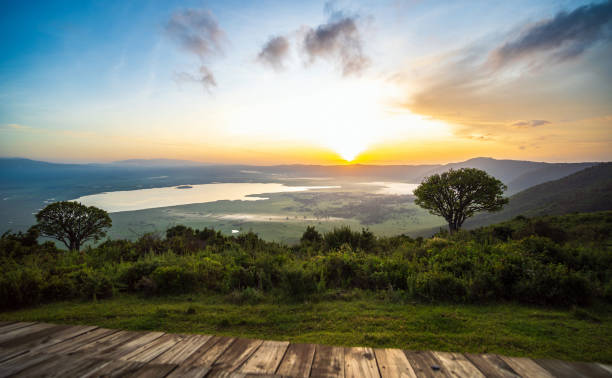 taken in tanzania while on safari